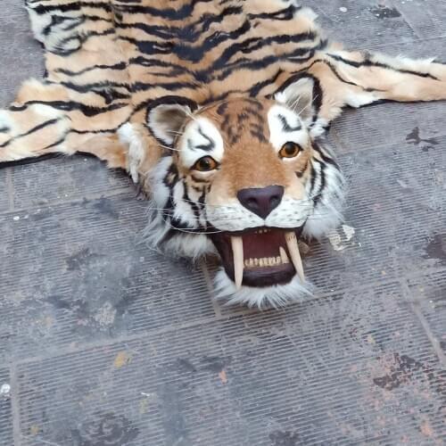 Big simulation tiger head&skin model polyethylene&furs real life tiger skin hom decoration gift about 170cm xf2851