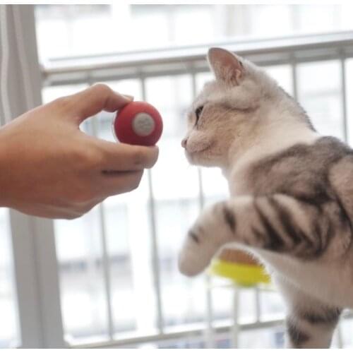 Игрушки для кошек Cheerble Ball M1 China At AliExpress