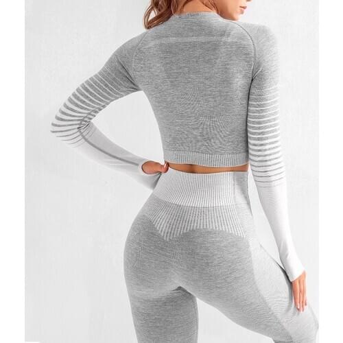 Seamless 2 Pcs Yoga Set Women Long Sleeve Top High Waisted Tummy Control Sport Leggings Gym Clothing Ombre Seamless Sport Suit