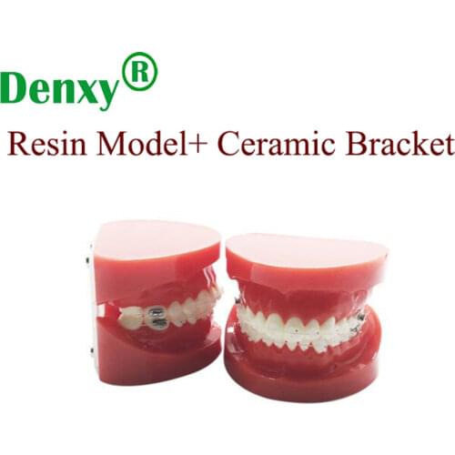 Denxy 1pc Dental model with Orthodontic Bracket Study Teeth Model Instruction Teeth Orthodontic ceramic brace Dental Bracket