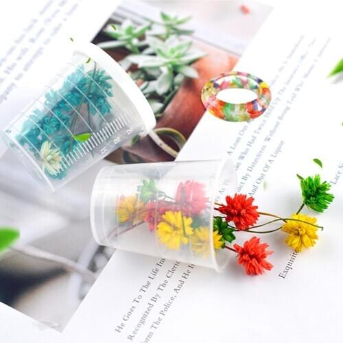 Dried Flowers Nail Art Decorations 1 Bunch Pressed Dried Flower Branch Specimen Epoxy Resin Art Craft DIY Accessory Dried Flower