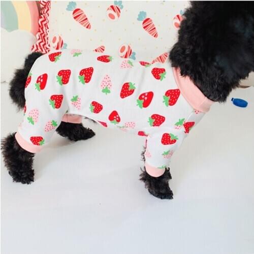 Pet dog clothes four-legged cotton cat clothes cute big strawberry lemon