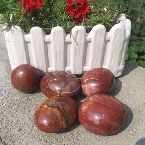 High quality Natural 5 Petrified Wood Palmstones crystal meditation reiki healing chakra gemstone wholesale pack