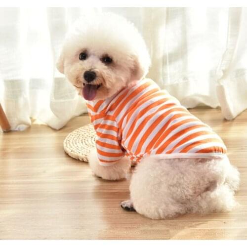 Pet Clothing Spring and Summer Thin Dog Vest Teddy Bear Small Puppy Cat Pet Clothing Cheap Clothes