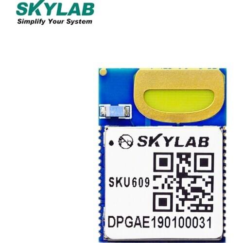 Skylab Original new DW1000 NRF52832 802.15.4 v4.0-UWB-Module-2.4GHz-6.5GHz module for Asset positioning