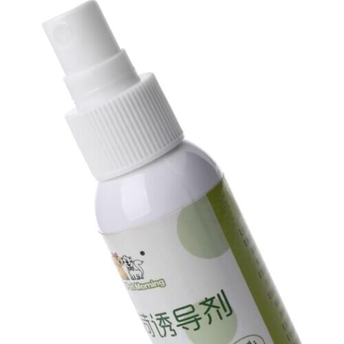 Cat Catnip Pet Training Toy Natural Healthy Cat Mint Funny Scratch Toy Spray