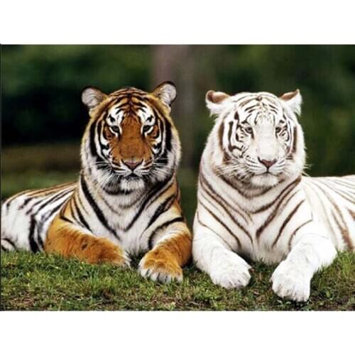 Diy 5D Diamond Embroidery Tiger Picture Of Rhinestone Full Square/Round Drill Diamond Painting Animal Handicraft Home Decor