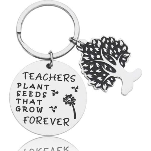 Teacher Day Gifts for Teacher Appreciation Keychain Jewelry Retirement End of Year Gift for Instructor Professor Mentors