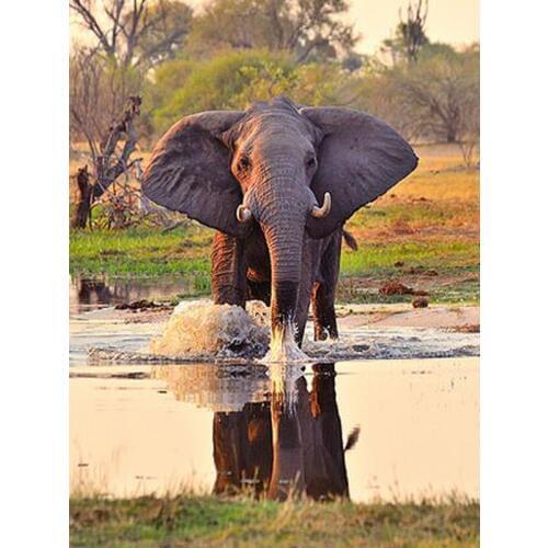 Diamond Painting Full Drill Elephant Broderie Diamant Cartoon Diamond Cross Stitch Modern Home Decor Resin Picture Of Rhinestone