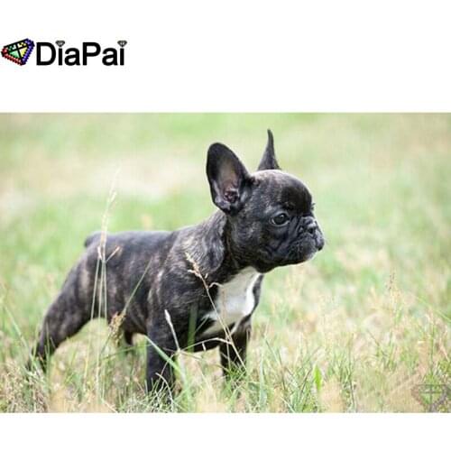 DIAPAI Art 5D Diy Diamond Painting "Animal dog" Diamond Pictures Cross Stitch 3D Rhinestone Embroidery Decor A26112