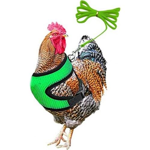 Casual 1 Set Wearable Outdoor Chicken Vest Harness Loose Poultry Leash with Leash for Outing