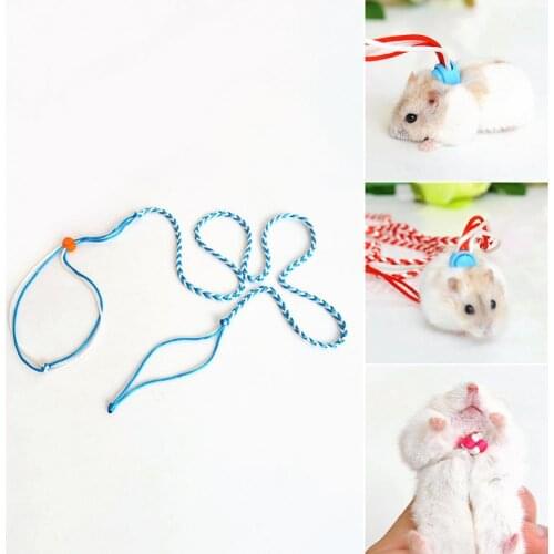 1Pc Polyester Hamster Squirrel Braided Walking Lead Leash Strap Small Animal Traction Rope Random Color Adjustable Traction Belt