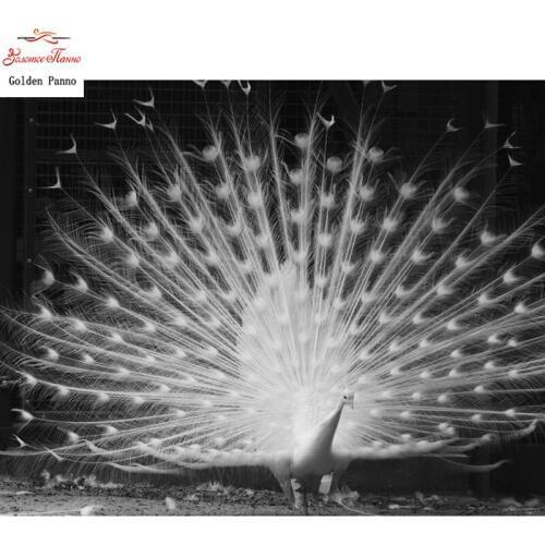 5D DIY diamond painting cross stitch square inlaid white peacock embroidery drill embroidery sale rhinestones painting