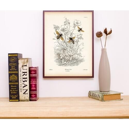 Canvas Painting Vintage Insect Bee Poster Animes Natural Education Wall Art Picture Reproduction Biology Anime home decor