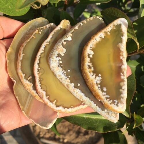 5pieces yellow agate slices 146g