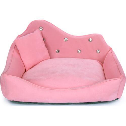 PETCIRCLE Products For Cats