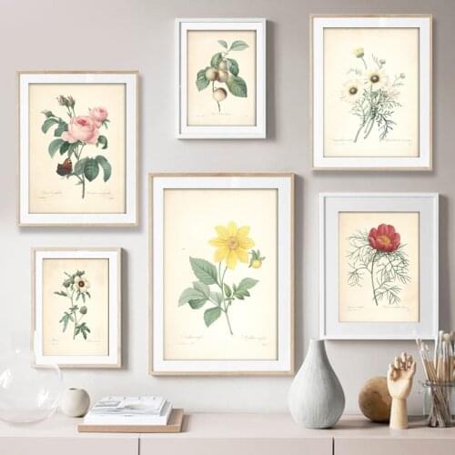 Vintage Flowers Plants Fruit Posters Prints Botanical Wall Art Canvas Painting Retro Wall Pictures A5 A4 Reproduction Home Decor