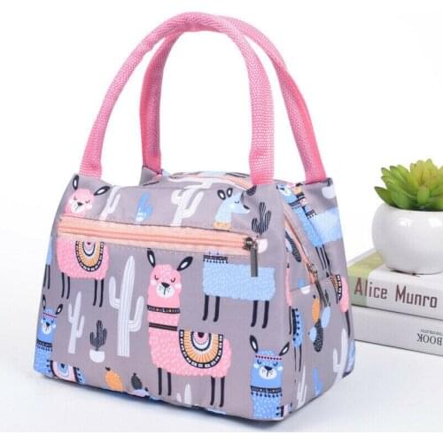 Cute Women Ladies Girls Kids Portable Insulated Lunch Bag Box Picnic Tote Cooler Portable Waterproof Picnic Lunch Bag