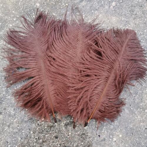 High Quality New 10pcs High Quality Dark coffee ostrich feathers 6-8 inches/15-20 cm for Party/wedding Decoration