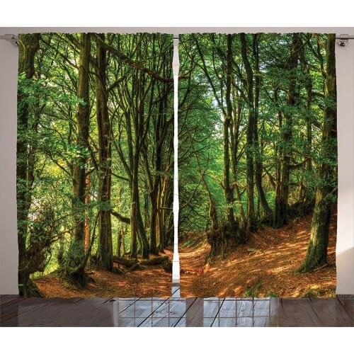 Woodland Decor Curtains Woodland Scene with Trees and Pathway Foliage Trunk Greenery Outdoor Scenic Picture Living Room Bedroom