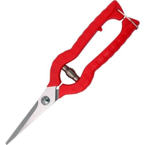 Garden Pruning Shears Fruit Picking Scissors Pruning Scissors Gardening Secateurs Grass Shears Branch Pruner Flower Tools