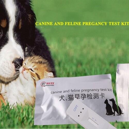 10pcs dog pregancy test strip pregnant canine and feline pet clinic mascotas perros pets accurate whelp check estimate product