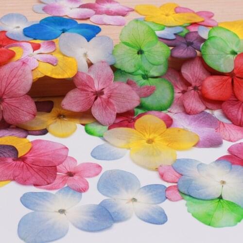Hydrangea Dry Flower DIY Embossing Petal Pompom Flowers Flores Artificial Plants Wedding Favors And Gifts Decoration Home