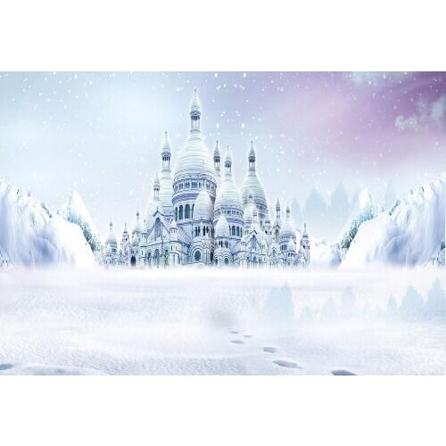 VinylBDS Winter Photo Background Photography Backdrop Castle Snow Camara Fotografica Profesional Custom Children Photo Studio