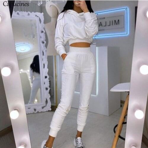 Capucines 2020 Autumn Winter Solid Velvet Sweatshirts and Pants Two Piece Set Women Outfits Casual Sport Hoodies Sweatpants Suit