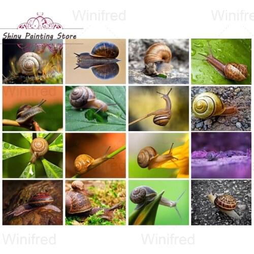 5D DIY Diamond Painting Mollusk Snail Wall Art Climbing Snail on the Leaf Square Round Diamond Embroidery Home Decoration Mural