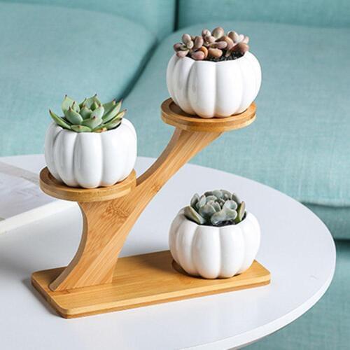 Pumpkin Shape Ceramic Succulent Plant Flower Pot Planter Holder Bamboo Shelf Home Decor цветочный горшок