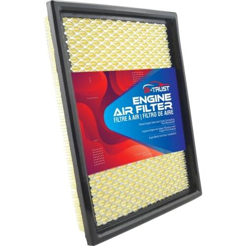 Bi-Trust Engine Air Filter for Buick Century Regal Rendezvous Terraza Cadillac Deville XLR Chevrolet Corvette Lumina Malibu