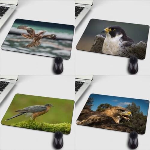 Mairuige Creative Printed Falcon Owl HD Art Pattern Wallpaper Computer Mini Pc Mousepads for Animals Lover and Game Player