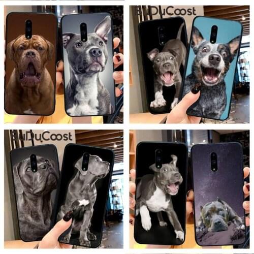 Reall Pit Bull Pet Dog Pitbull Phone Case For Redmi 6 4X 7 7A 8 GO K20 Note 4 4X 5 5A 6 6 Pro 7 8 8pro