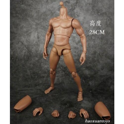 Haoxuantoys 1/6 male soldires muscle body model 12 inches fit HT DAM head sculpt