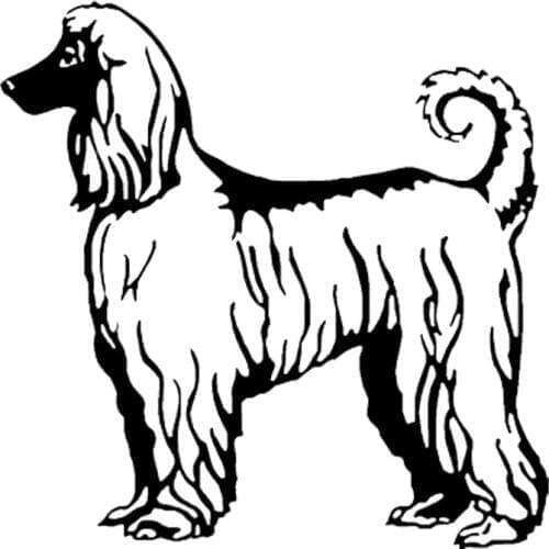 16*16CM Afghan Hound Dog Vinyl Decal Funny Car Stickers Car Styling Motorcycle Accessories Black/Silver S1-1046