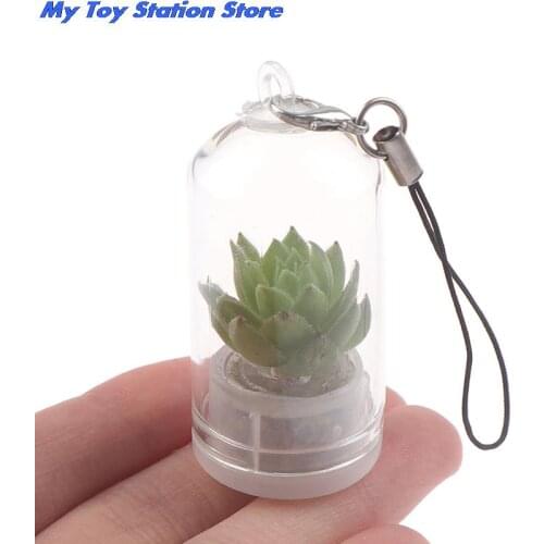 Random Style Cactus Miniature Succulent Cactus Terrarium Wearable Necklace Live DIY Succulent Plant pendant 2.5*5cm