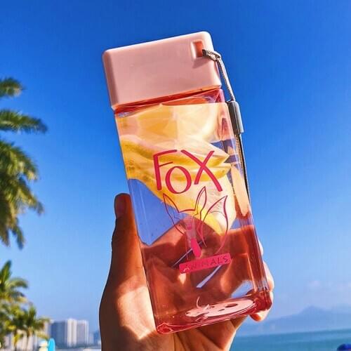 Plastic My Bottle 350ml for Water Bottles With Protective Bag Transparent or Matte Sport Korean Style Heat Resistant Leakproof