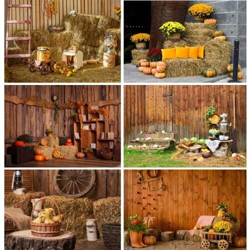 Spring Easter Photography Backdrop Rabbit Flowers Eggs Wood Board Photo Background Studio Props 210318FH-57