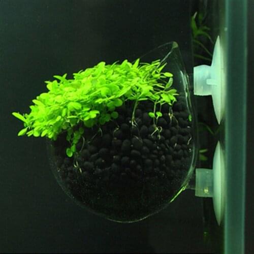 Aquarium decoration fish tank Mini Crystal Glass Pot Polka Water potted planting cylinder cup aquarium accessories