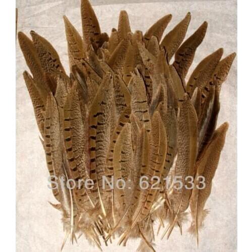 100Pcs/Lot Beautiful Ringneck Pheasant Tail Feathers 6-8" Length ,Nature Ringneck Pheasant Tails for Jewelry Making