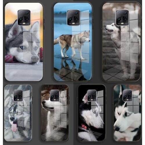 Soft Glass Balck Case For Xiaomi Redmi 9a 8A 7A Note 9 8 7 Pro Y3 9S 8T Prime Coque Cover Alaskan Malamute Siberian husky dog