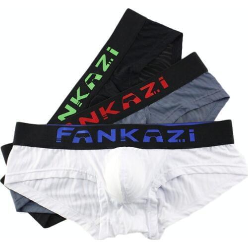 3PCS/Lot Mens Underwear Briefs Summer Ice Silk Sexy Underwear Men Briefs Transparent Low Waist Male Panties Underpants