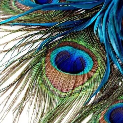 3d large mural bedroom living room TV background wallpaper blue peacock feathers Custom sizes