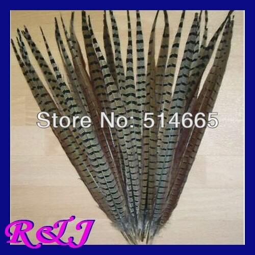 EMS Free Shipping 100pcs/lot ringneck pheasant Feather tail natural pheasant tail feather 20-22 inches 50-55cm