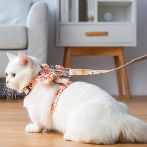 Cat Harness Vest Adjustable Cat Puppy Harness for Small Dog Pet Leash Set Traction Rope Bowtie Cat Leash Harness Pet Accessories