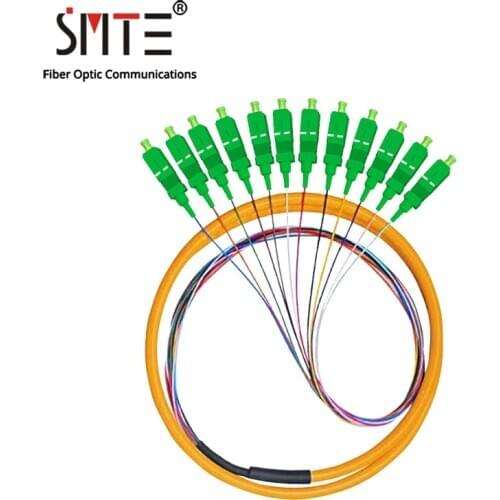 SMTE 12 Core Pigtail Fiber Optic APC SC Patch Cord 0.9mm 1~2 Meters Cable ODF Fiber Jumper Simplex FTTH