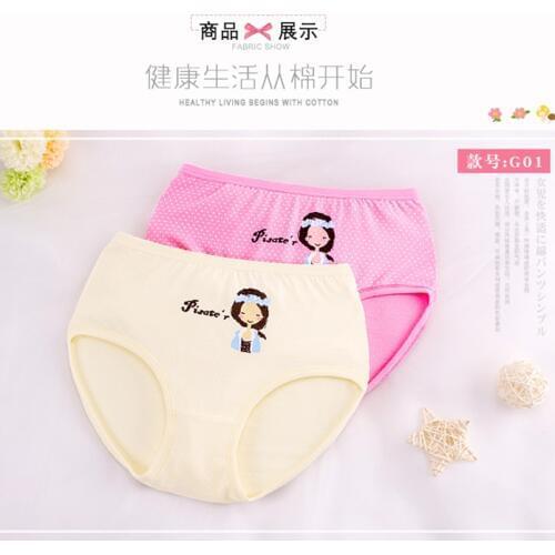 2Pcs/lot Girls Cotton Briefs Girl Panties Girls Shorts Childrens Panties Kids Underwear For 3-14 Years