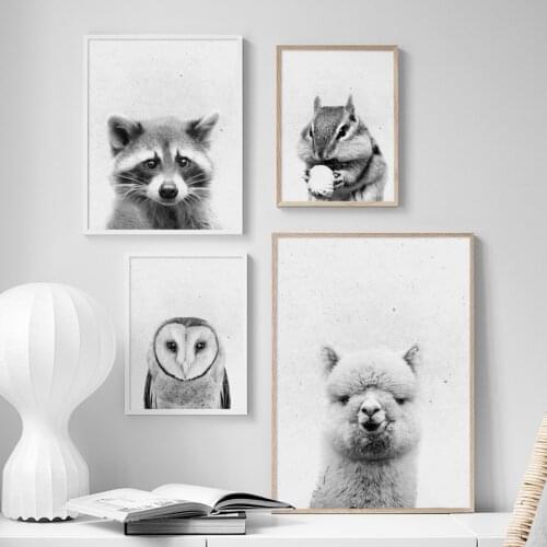 Raccoon Alpaca Owl Squirrel Animals Wall Art Canvas Painting Nordic Posters And Prints Wall Pictures For Living Room Home Decor