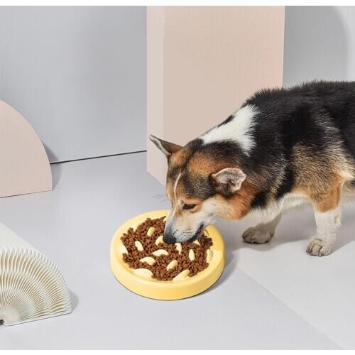 Pet Dog Feeding Food Bowls Puppy Anti Choking Slow Down Eating Feeder Dish Bowel Prevent Obesity Food Plate Dogs Supplies